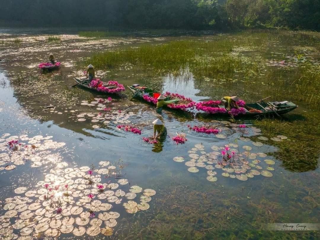 Tam Coc Paradise Homestay Ninh Binh Luaran gambar
